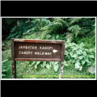 12319 016 Poring Canopa Walkway Malaysia 2006 Sabah.jpg
